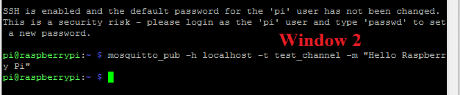Raspberry Pi MQTT Server Install Window