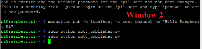 Sending Data from Pi to Pi using MQTT Server
