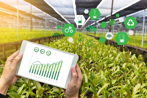 Smart Greenhouses