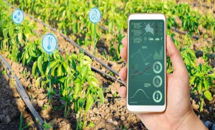Smart-Agriculture
